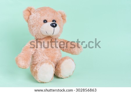 Teddy Bear toy alone with light green background