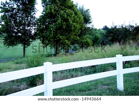 white picket fence with trees