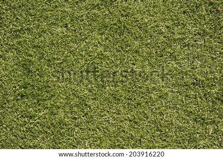 Lawn football field (soccer field). Realistic textured grass (original background).
