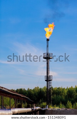 Burning oil gas flare