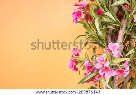 Flowers and green plant on retro concrete wall ,vintage