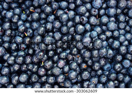 Background of the large amount of collected blueberries