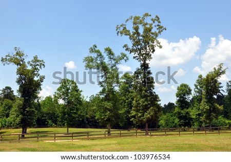 Fenced Rolling Pasture Land With Trees