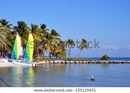 Smathers Beach On The Atlantic Ocean in Key West, Florida, With Palm Trees, Catamaran Sailboats And A Pelican