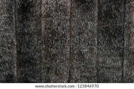Mink Fur For Background