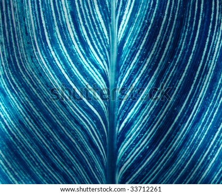 Blue Leaf pattern For Background