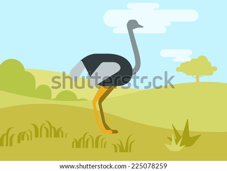 Ostrich flat design cartoon vector wild animals birds. Flat zoo nature children collection.