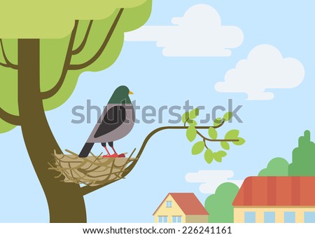 Pigeon (male dove) on street tree branch nest flat design cartoon vector wild animals birds. Flat zoo nature children collection.