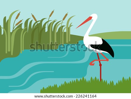 Stork on river bank in reeds flat design cartoon vector wild animals birds. Flat zoo nature children collection.
