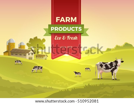 Flat cow on green meadow field and countryside buildings infographic template vector illustration. Natural eco and fresh farm products concept.