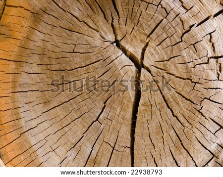 Internal tree structure