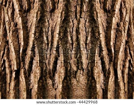 stock photo : Tree trunk