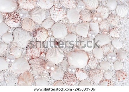 background of sea shells with pearls on a white coarse sand