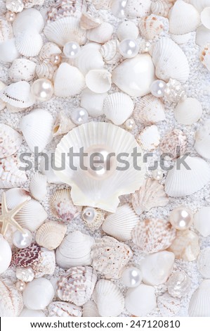 pearl in the shell against the sea shells and sand