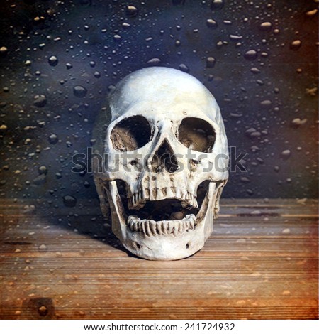 still life with skull on wooden table over grunge background and water drop in foreground