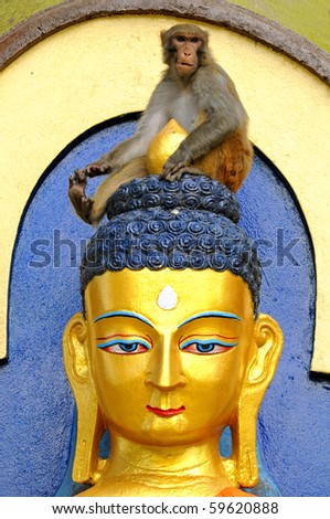 Buddha and monkey at Swayambhunath Monkey Temple/kathmandu-Nepal