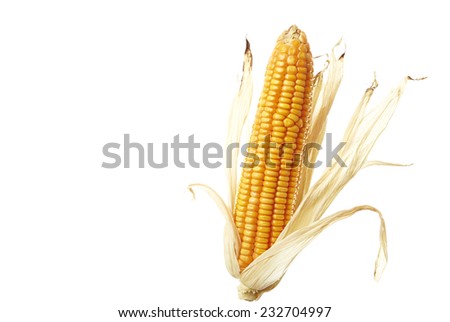 Corn for animal feed wonderful on white background.