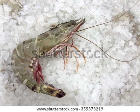 One big Sea Tiger Prawn stacked on tray with Ice closeup view