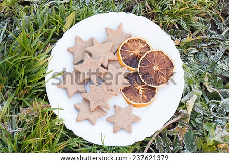White Plate with Gingerbread Star Cookies and Citrus Fruit Chips on Frosted Grass
