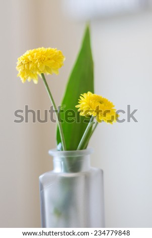 Fresh yellow flowers in glass bottle on wood table