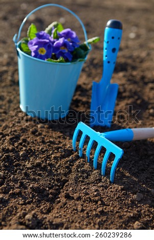 Blue garden tools during the spring planting