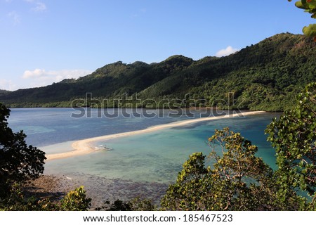 Beautiful view of a tropical Snake island, El Nido, Palawan, Philippines
