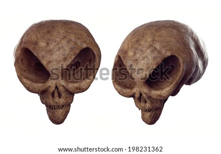 Alien skull Forbidden Archeology Alien skull Forbidden Archeology