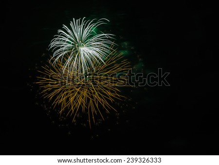 the fireworks celebrate lighting the night sky