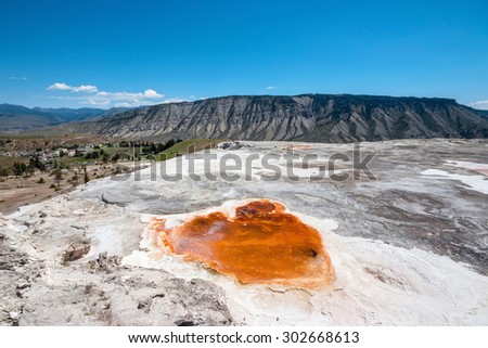 Main terrace,Mammoth Hot Springs area in Yellowstone National Park,USA