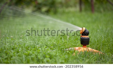 sprinklers for the grass in the yard/sprinklers