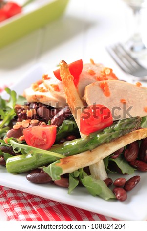 Slices of chicken breast fillet with lentil and bean salad