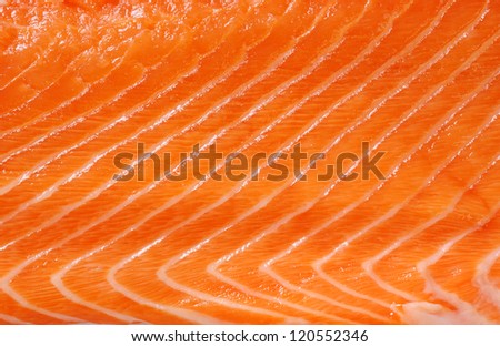 Raw salmon background