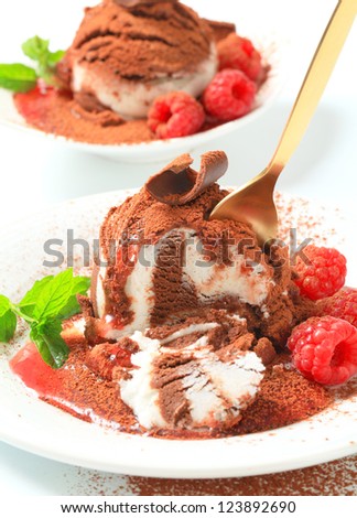 Vanilla chocolate ice cream and raspberries sprinkled with cocoa powder