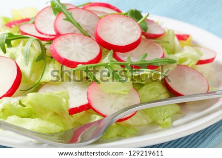 Green salad with sliced radish