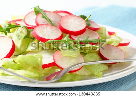 side view of salad with radish and lettuce