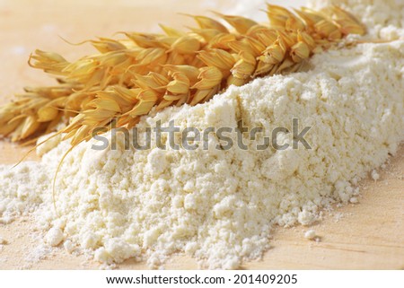 pile of soft flour with ripe wheat ear