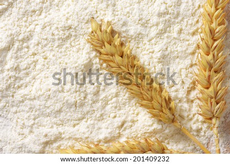 soft wheat flour with ripe wheat ear