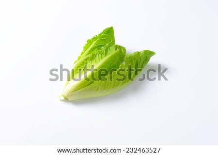 heart of romaine lettuce on white background