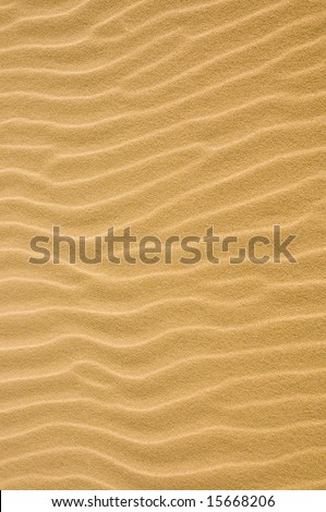 Rippled sand background