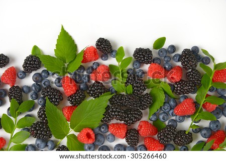 picture of wild berries selection with copy space