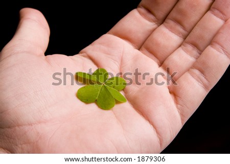Hand holding clover on black background
