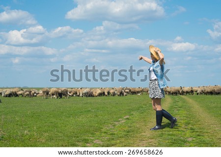 Farm life, a young girl and a flock of sheep