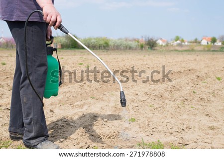 Gardener applying an insecticide/a fertilizer to his fruit shrubs, using a sprayer