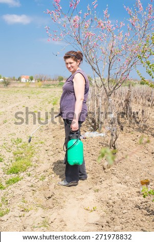 Gardener applying an insecticide/a fertilizer to his fruit shrubs, using a sprayer