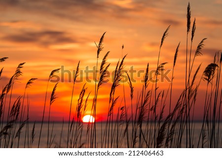 Chesapeake Bay Sunrise