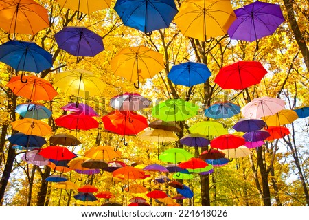autumn umbrellas in the sky