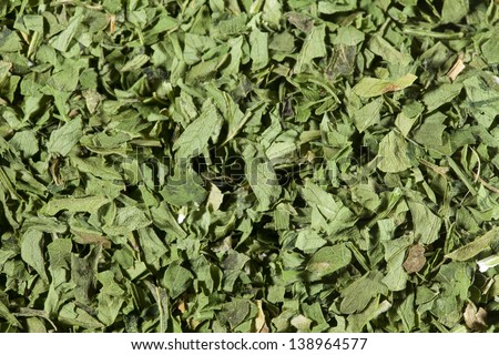 Dried parsley on all background