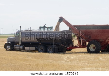Loading grain into a truck.