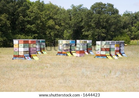 A group of bee hives in a field.