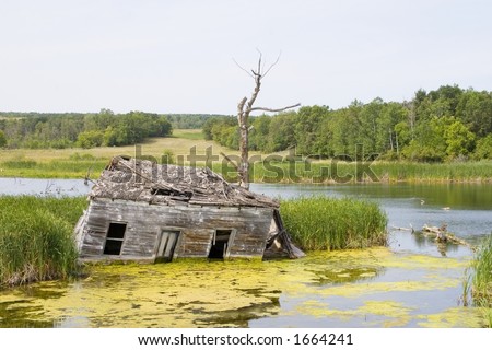 An old abandoned house sits in a swamp.